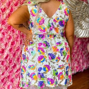 Southern fried chics Northern lights dress